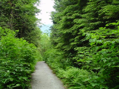 velomobile road through country