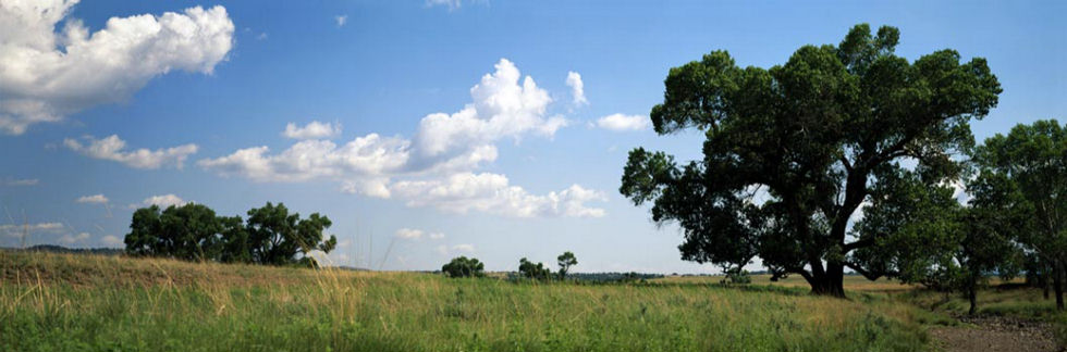 Lanying's home, out from the woods, looking east.