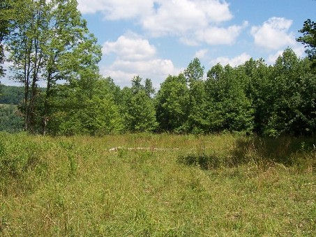 meadow-where-they-stopped-for-meal