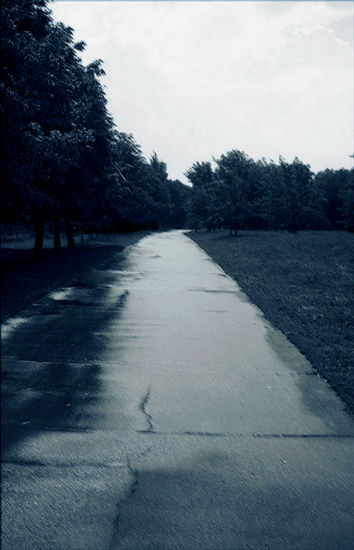 Velomobile road in wilderness on cold, drizzling conditions
