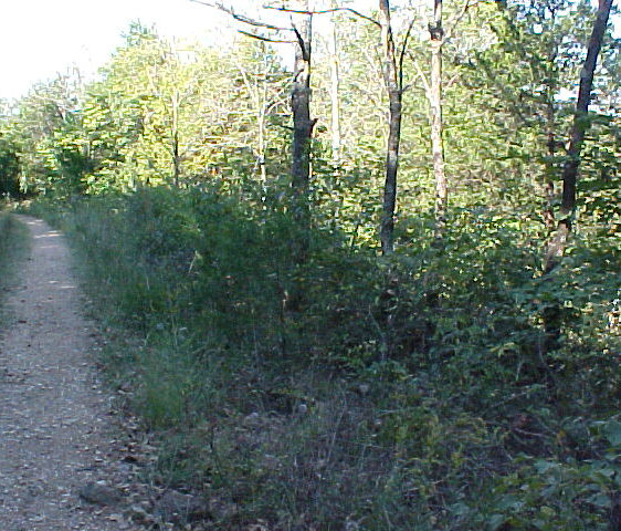 hard-packed dirt velomobile road